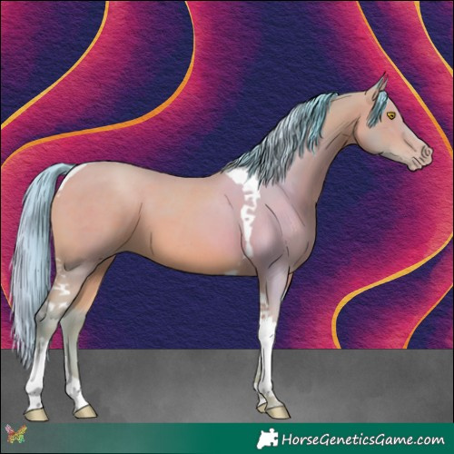 Horse Color:Watercolor Amber Champagne Tobiano 