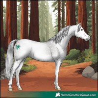 Horse Color:Gray Brown Dun Splash 