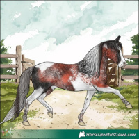 Horse Color:Liver Chestnut Ice Splash Tobiano 