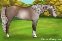 Horse Color:Gray Silver Black Pearl Tobiano 