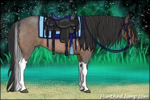 Horse Color:Buckskin Roan Tobiano Rabicano 