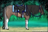 Horse Color:Buckskin Roan Tobiano Rabicano