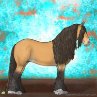 Horse Color:Buckskin 