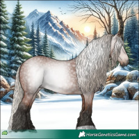 Horse Color:Gray Silver Bay Roan 