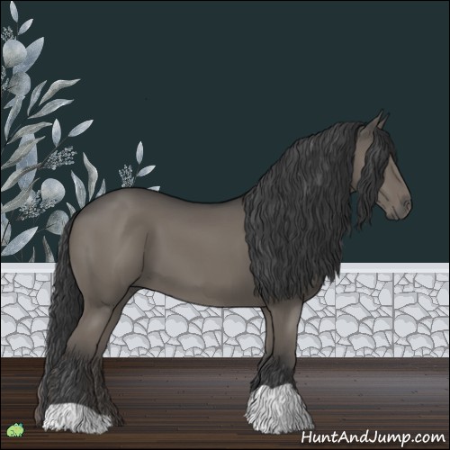 Horse Color:Grullo