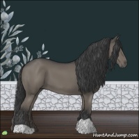 Horse Color:Grullo 