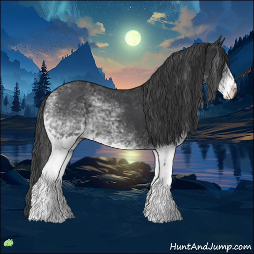 Horse Color:White Spotted Black