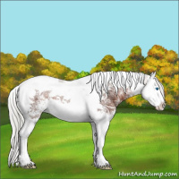 Horse Color:Silver Brown Ice Sabino Splash Tobiano 