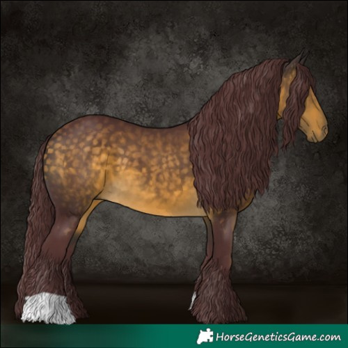 Horse Color:Chocolate Buckskin 