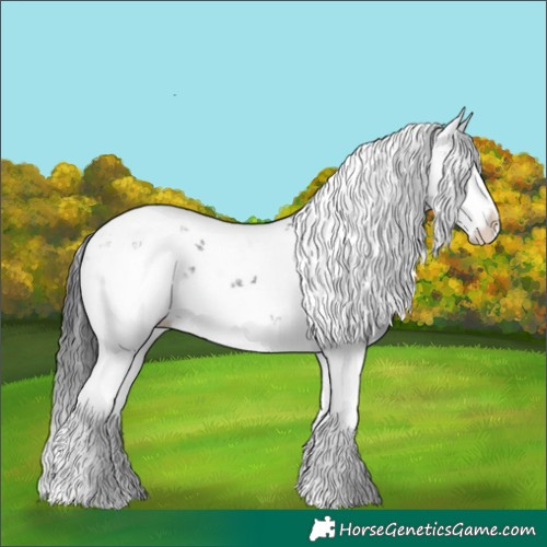 Horse Color:Black Sabino Splash
