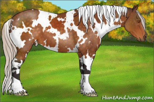 Horse Color:White Spotted Silver Buckskin 
