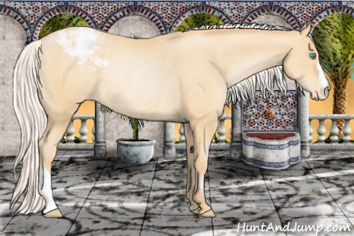 Horse Color:Silver Smoky Black Pearl Appaloosa Rabicano 