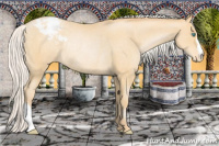 Horse Color:Silver Smoky Black Pearl Appaloosa Rabicano 