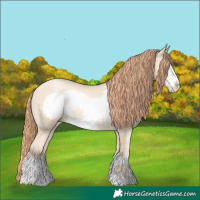 Horse Color:Amber Cream Champagne Pearl Frame 