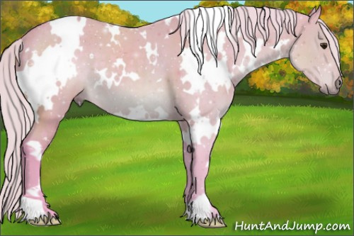 Horse Color:Watercolor White Spotted Silver Brown 