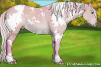 Horse Color:Watercolor White Spotted Silver Brown