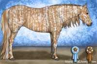 Horse Color:Gray White Spotted Black  Brindle