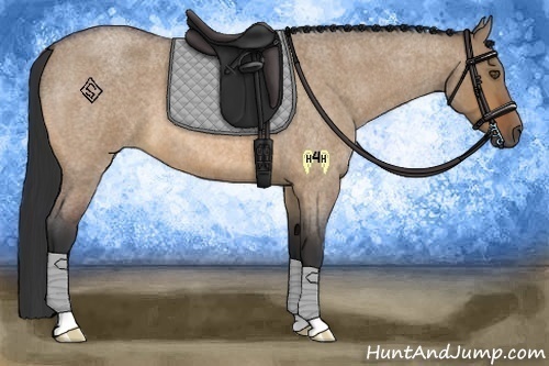 Horse Color:Bay Roan Dun 