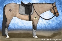 Horse Color:Bay Roan Dun 