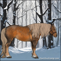 Horse Color:Chocolate Palomino Tobiano 