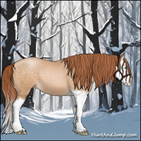 Horse Color:Buckskin Pearl Splash 