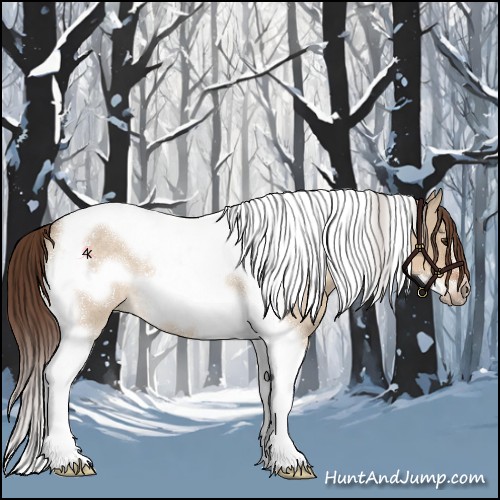 Horse Color:Liver Red Dun Roan Tobiano Frame Rabicano