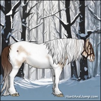 Horse Color:Liver Red Dun Roan Tobiano Frame Rabicano 