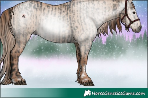 Horse Color:Gray Grullo Tobiano  and Grullo Pearl 