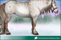 Horse Color:Gray Grullo Tobiano  and Grullo Pearl 