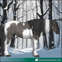 Horse Color:Grullo Tobiano