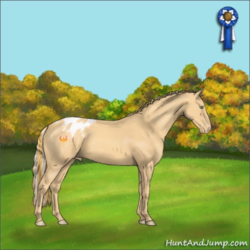 Horse Color:Painted Gold Cream Champagne Appaloosa 