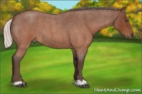 Horse Color:Silver Brown Roan 