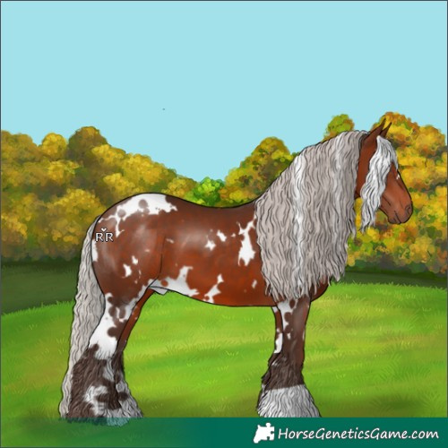 Horse Color:White Spotted Silver Brown 