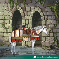 Horse Color:Gold Cream Champagne Appaloosa 