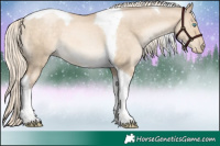 Horse Color:Chocolate Palomino Pearl Dun Tobiano