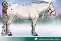 Horse Color:Buckskin Dun Blanket 
