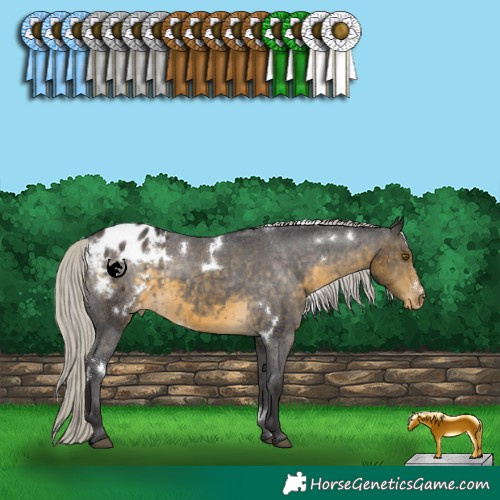 Horse Color:White Spotted Silver Buckskin Blanket