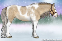 Horse Color:Chocolate Palomino Roan Dun Splash Tobiano 
