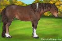 Horse Color:Liver Chestnut Tobiano 