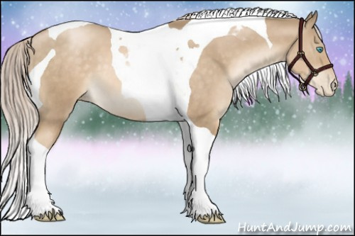 Horse Color:Chocolate Palomino Pearl Tobiano 