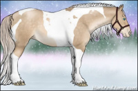 Horse Color:Chocolate Palomino Pearl Tobiano 