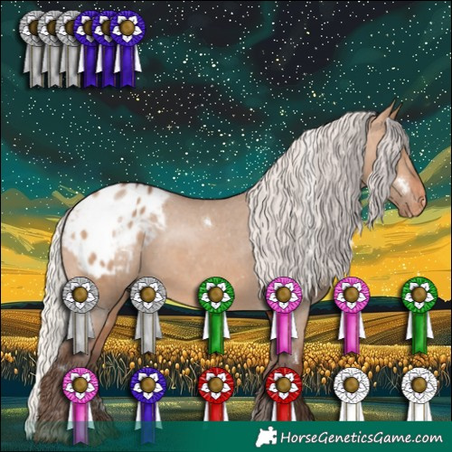 Horse Color:White Spotted Silver Bay Dun Appaloosa 