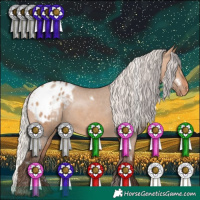 Horse Color:White Spotted Silver Bay Dun Appaloosa 