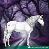Horse Color:Liver Chestnut Mushroom Snowflake Varnish