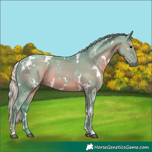 Horse Color:Watercolor White Spotted Silver Black 