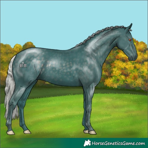 Horse Color:Watercolor Silver Black Chinchilla 