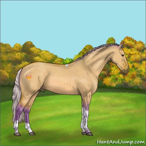 Horse Color:Watercolor Silver Bay Dun Tobiano 