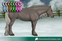 Horse Color:Silver Black Rabicano 