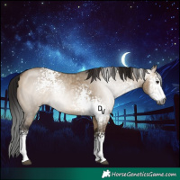Horse Color:Gray White Spotted Brown Dun Rabicano 