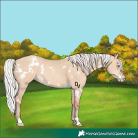 Horse Color:White Spotted Silver Amber Champagne Dun
